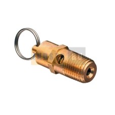 Предохранительный клапан высокого давления 1/4" (14 бар) Remeza LT100 R 23121001 (23114001)