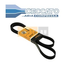 Приводной ремень Ceccato 0367010060