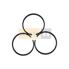 Комплект поршневых колец D.55 мм Remeza LB24 R 21145016