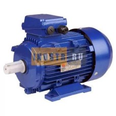 Электродвигатель 100 L2 5.5 кВт/380В (IM1081) 4042100500