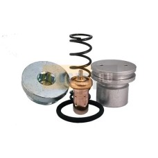 Ремкомплект клапана термостата VTFT25CC/55° ABAC 2120022355 (270.1383)